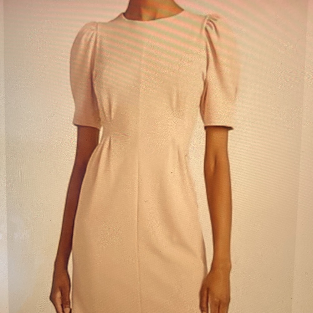Express Pink Sheath Dress with Puff Sleeves